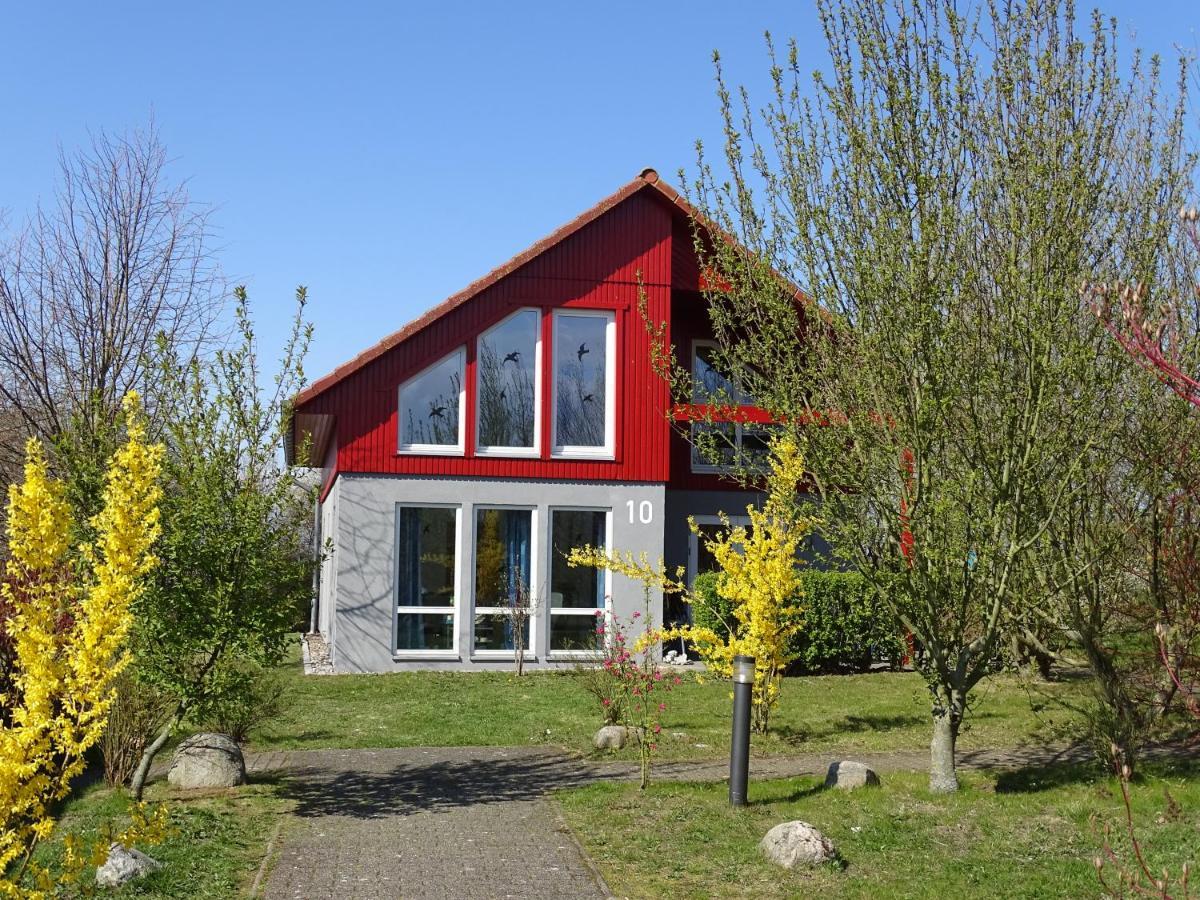 Ferienhaus Ostseeblick Hohen Schoenberg Eksteriør billede